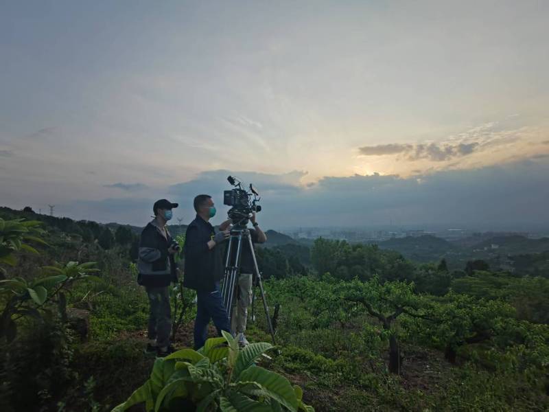 创意破圈！兰坪电商产品宣传视频用故事化叙事引爆流量