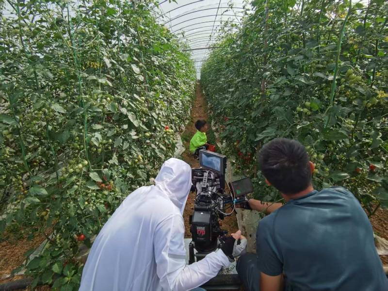 兰坪产品宣传视频拍摄公司进阶指南，助力品牌抢占传播高地